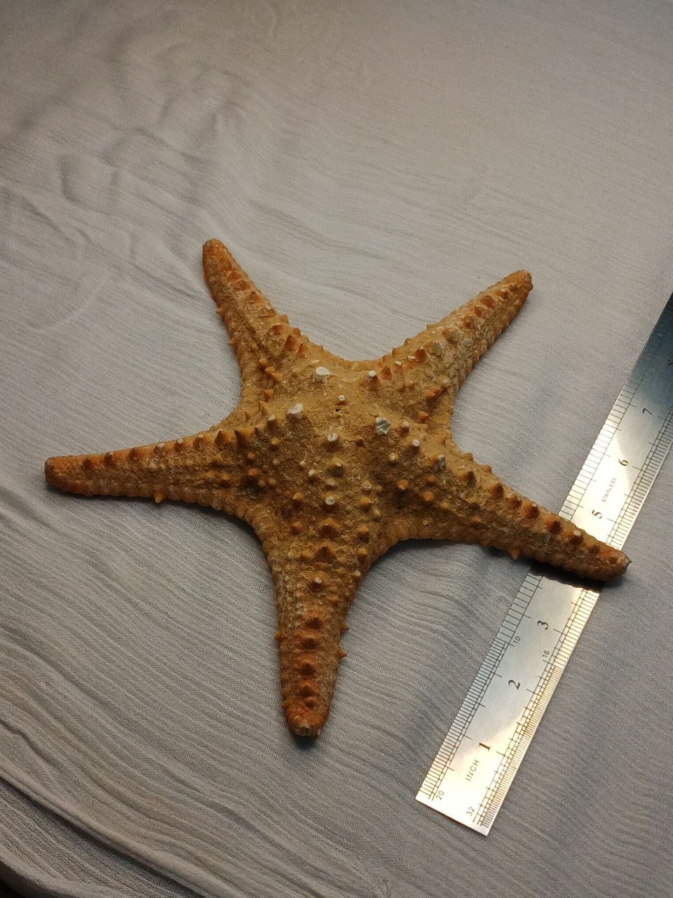 image-7