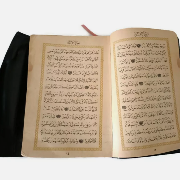 image-3