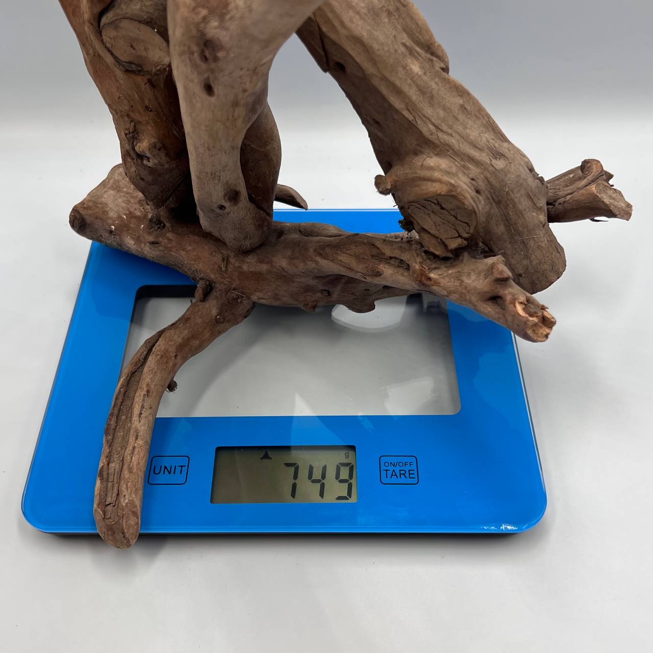 image-7