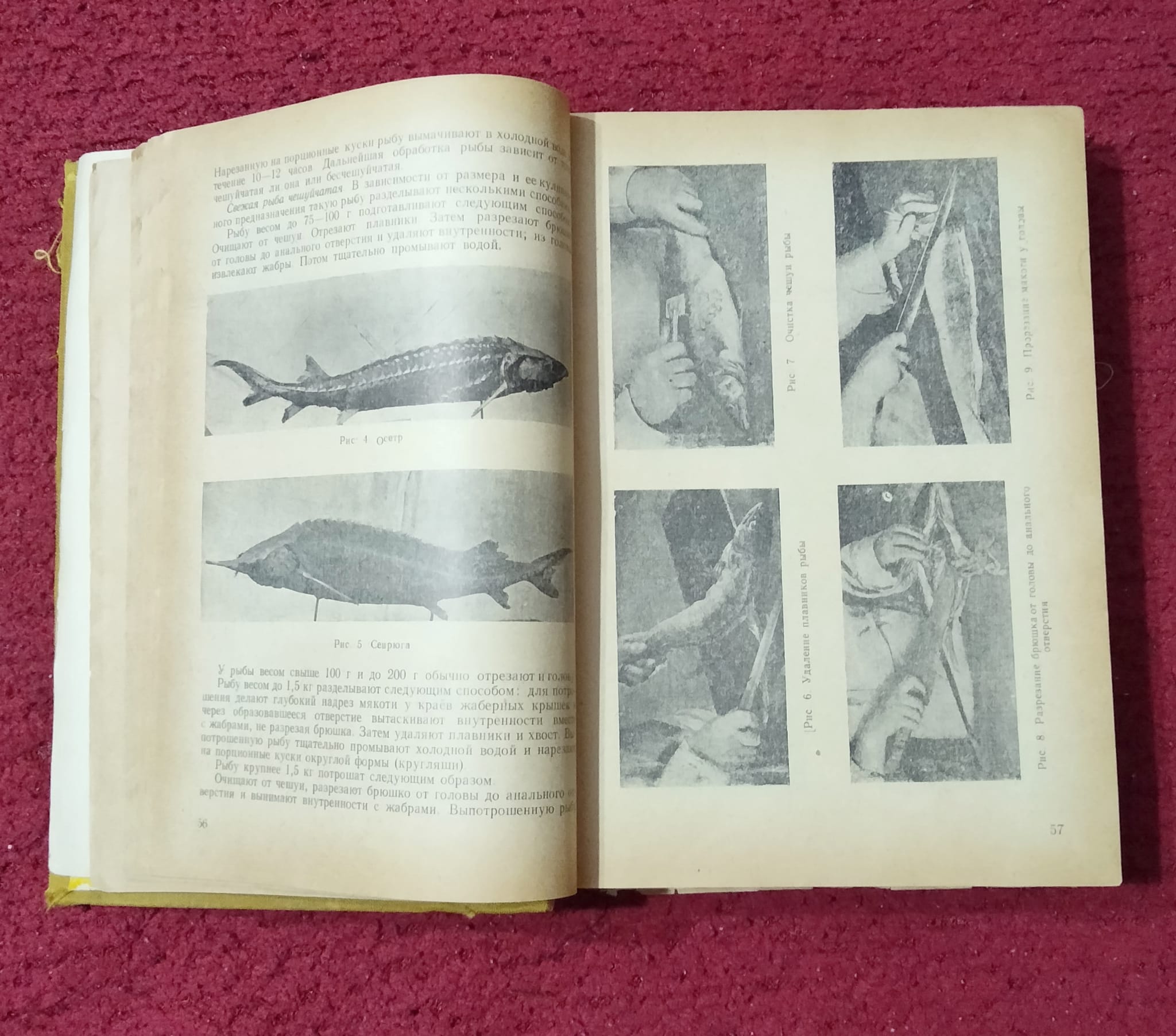 image-7