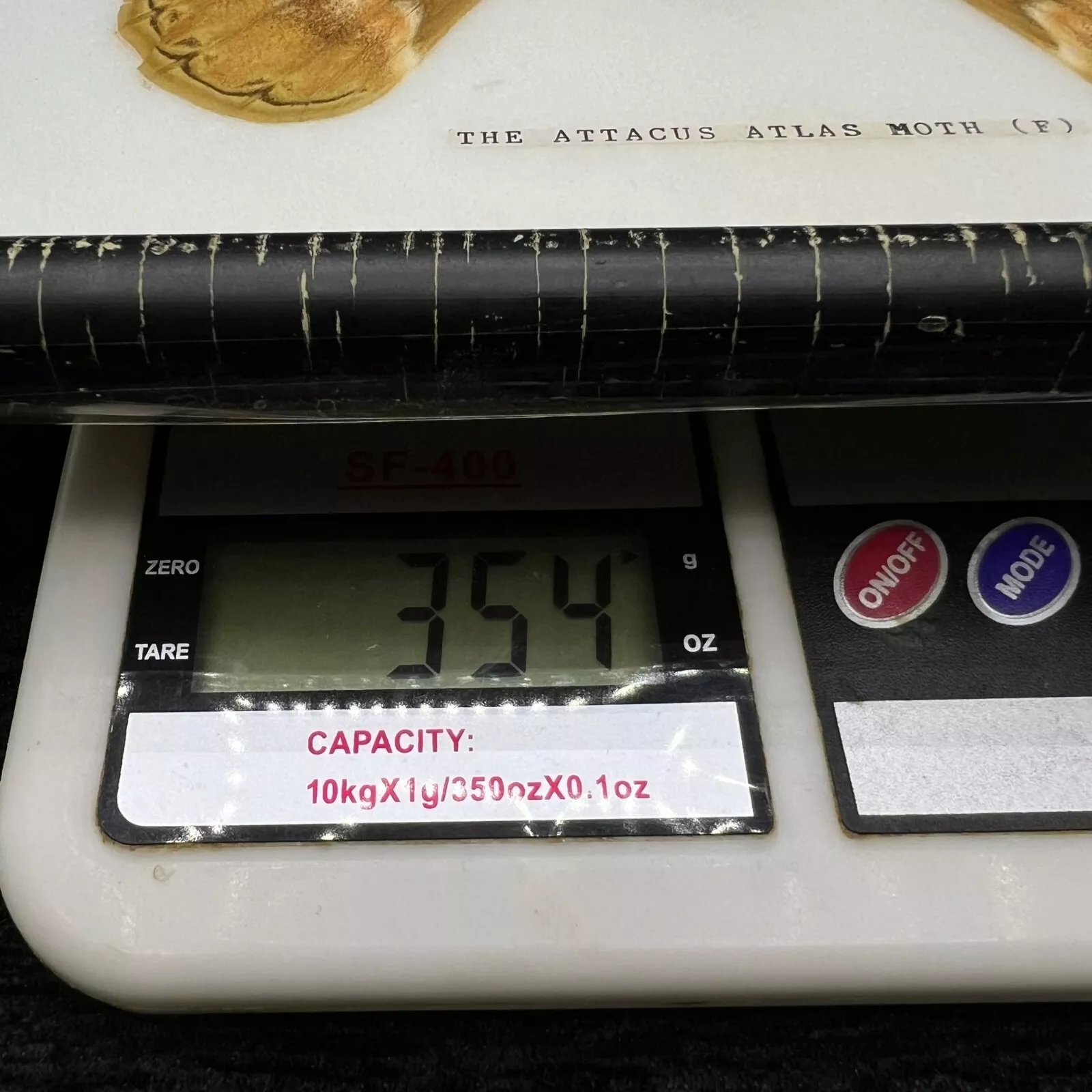 image-7