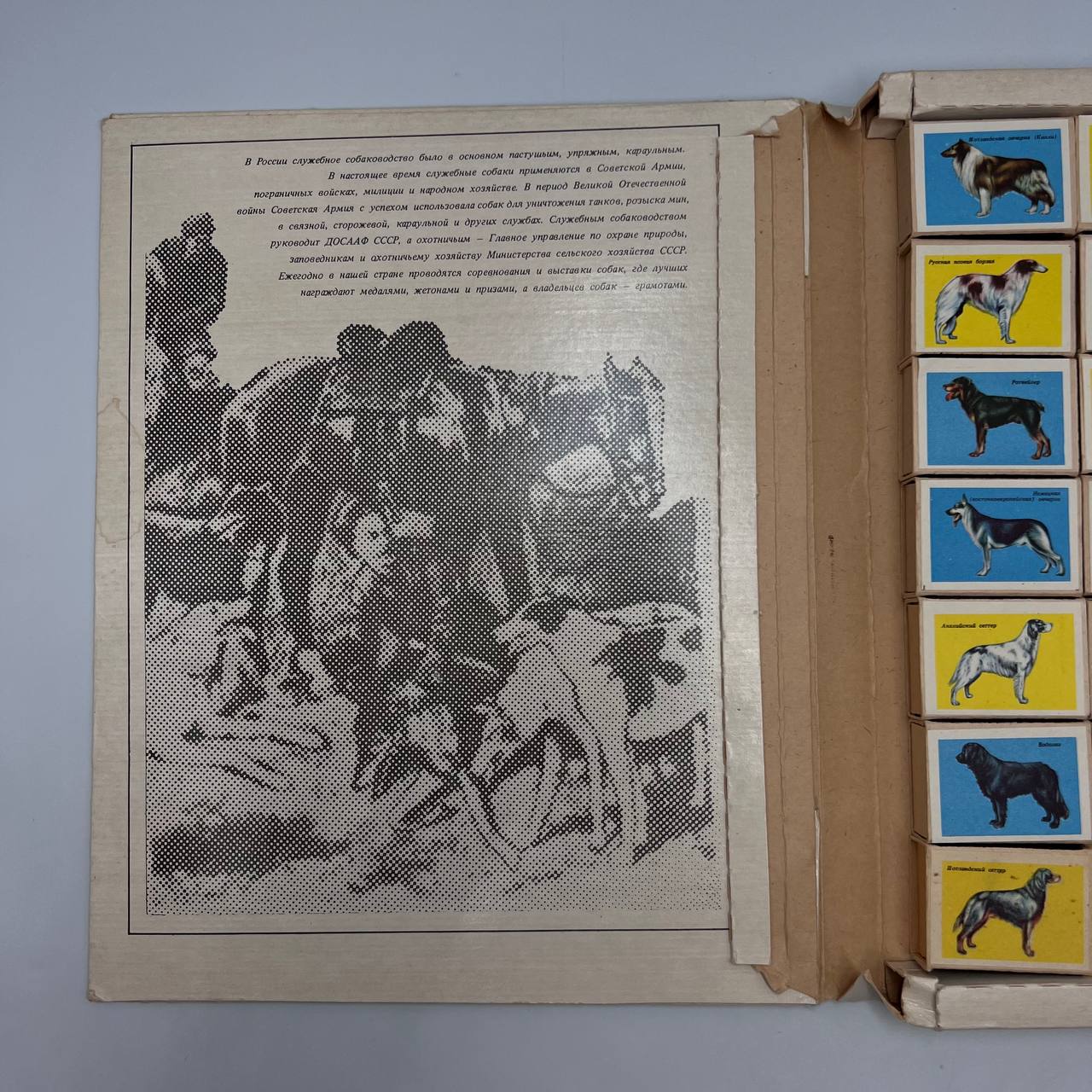 image-6