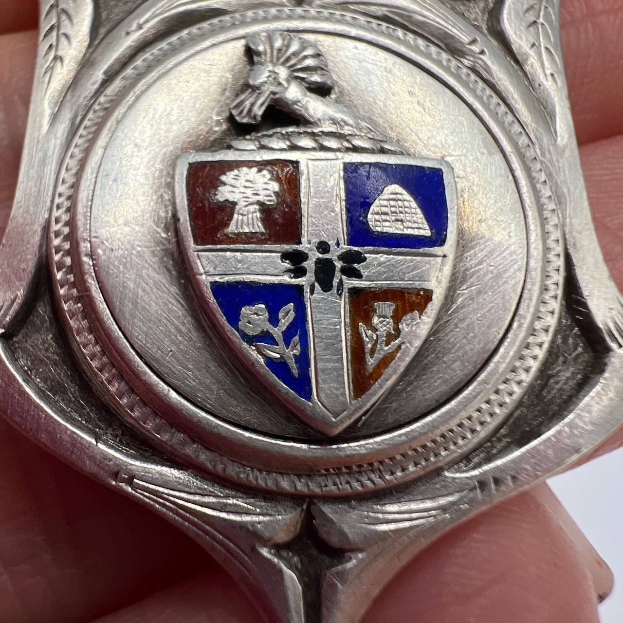 image-6