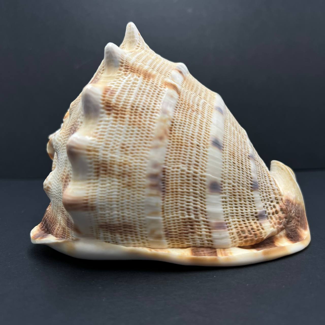 image-5
