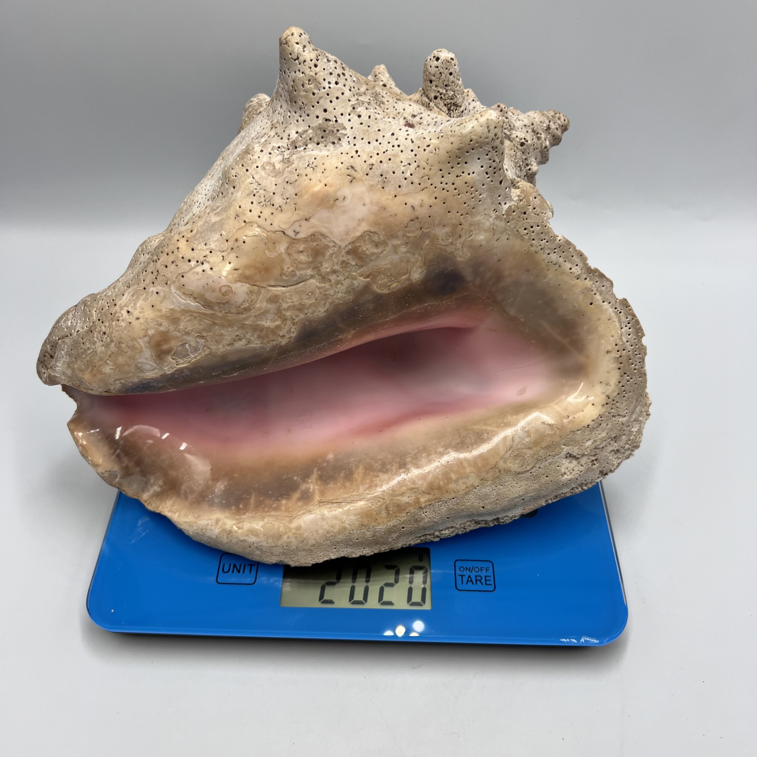 image-3