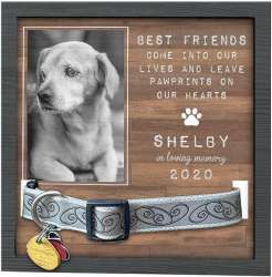 Personalized Pet Loss Sign